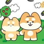 เกมส์ Shibawa ล่าแอร์ดรอปประจำวัน